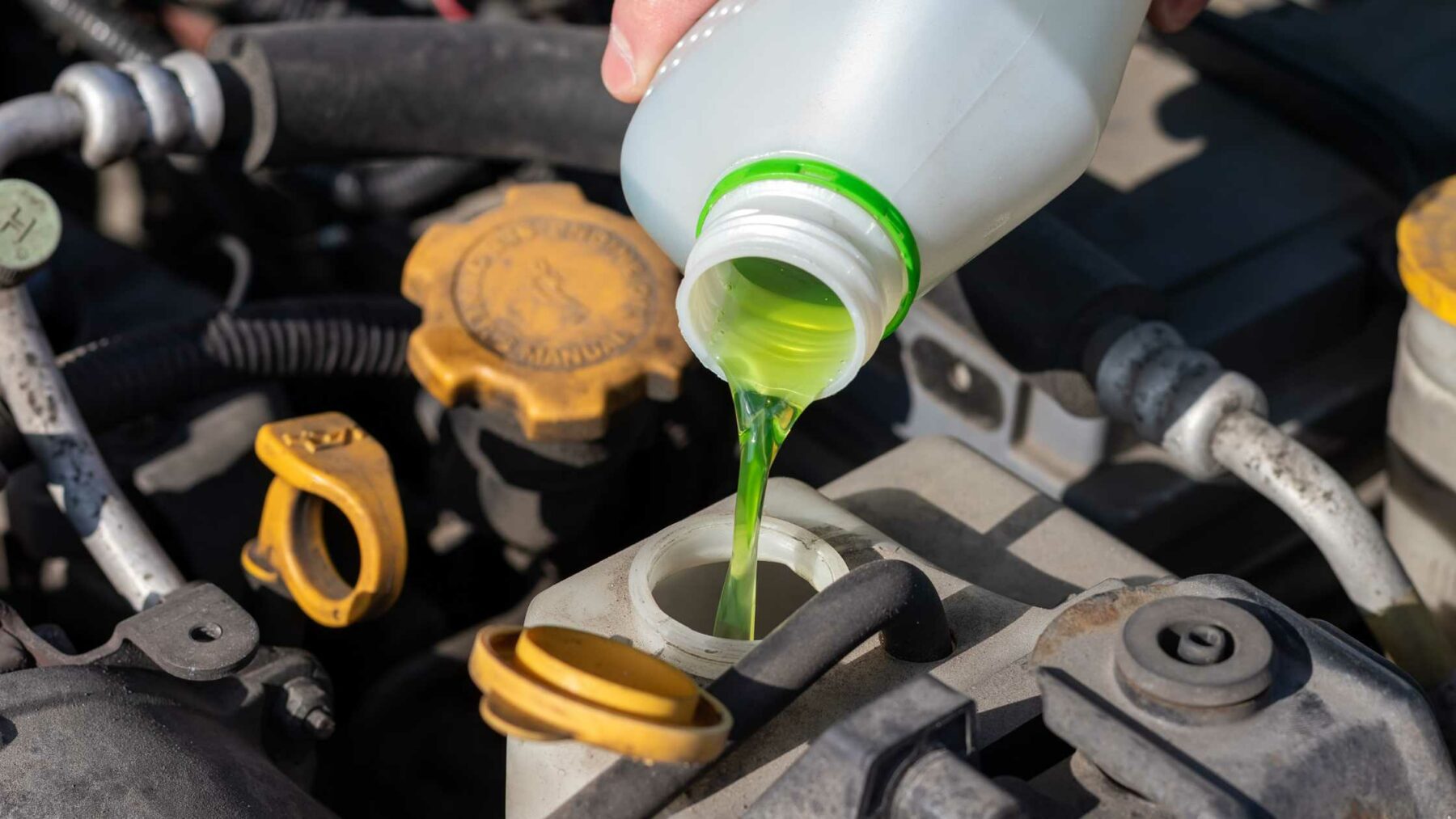 Car coolant reservoir being checked